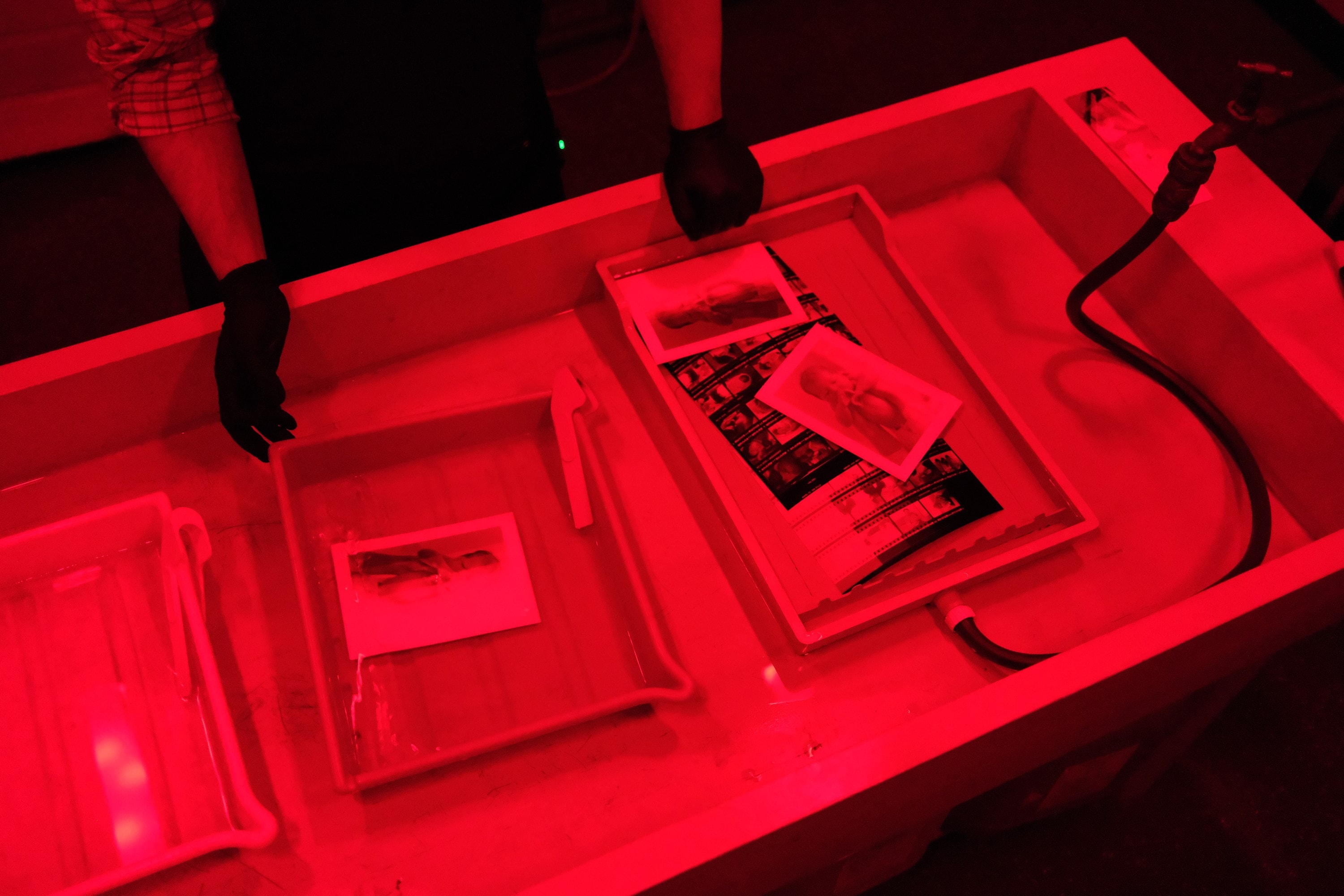 Gloved hands working two trays at once under the red safelight