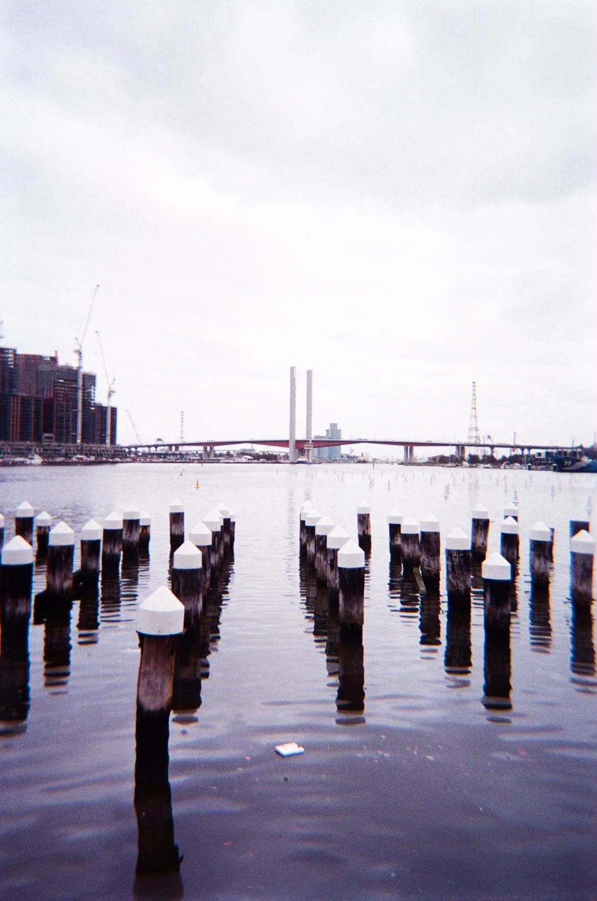 Old pier posts on the water, shot on film