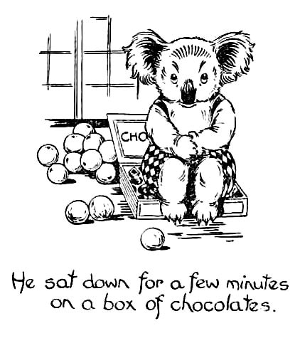 Pen drawing of Blinky Bill sitting on a box of chocolates in a shop window