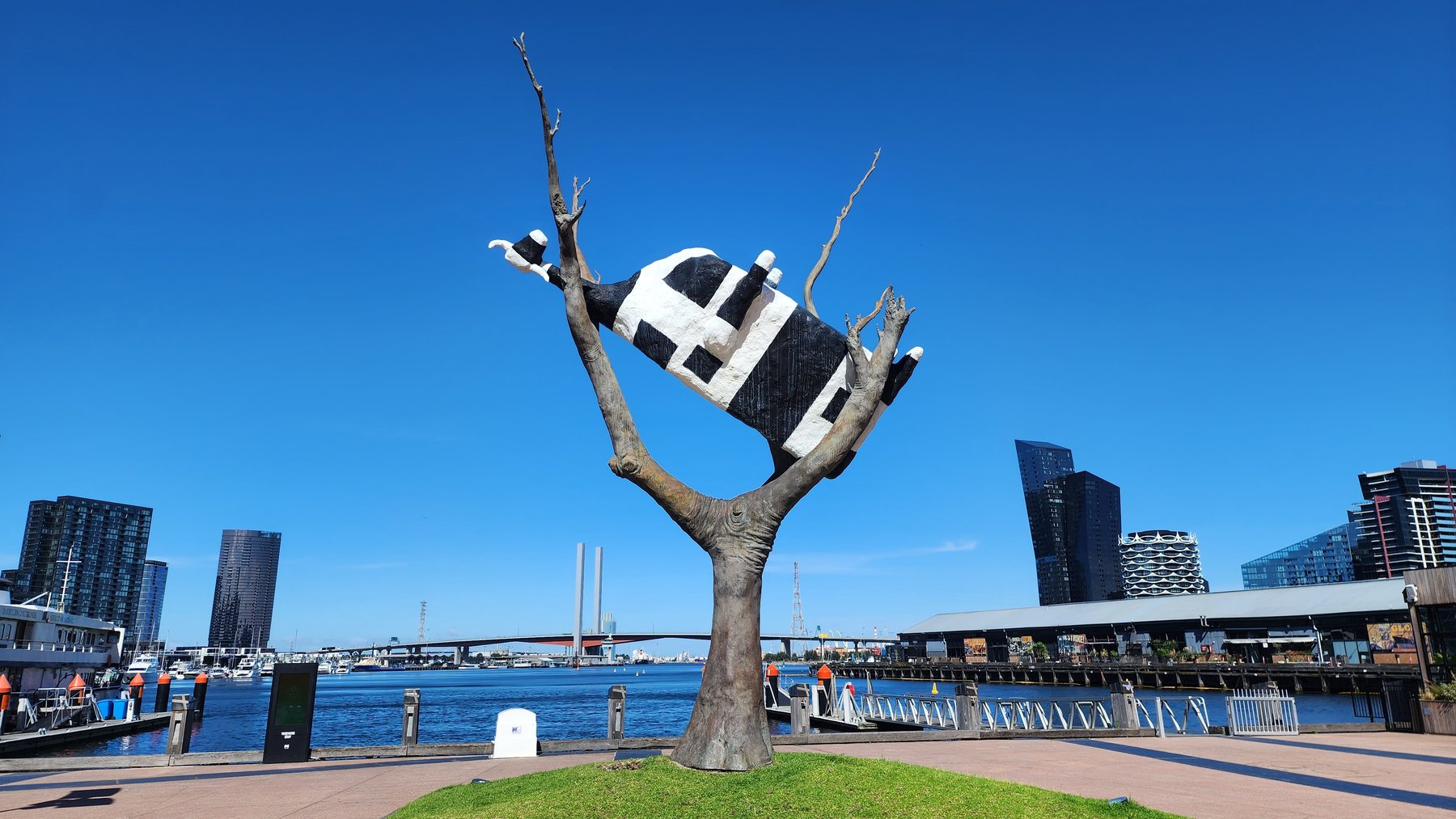 Cow Up a Tree on the Docklands waterfront under a clear blue sky, apartment towers behind